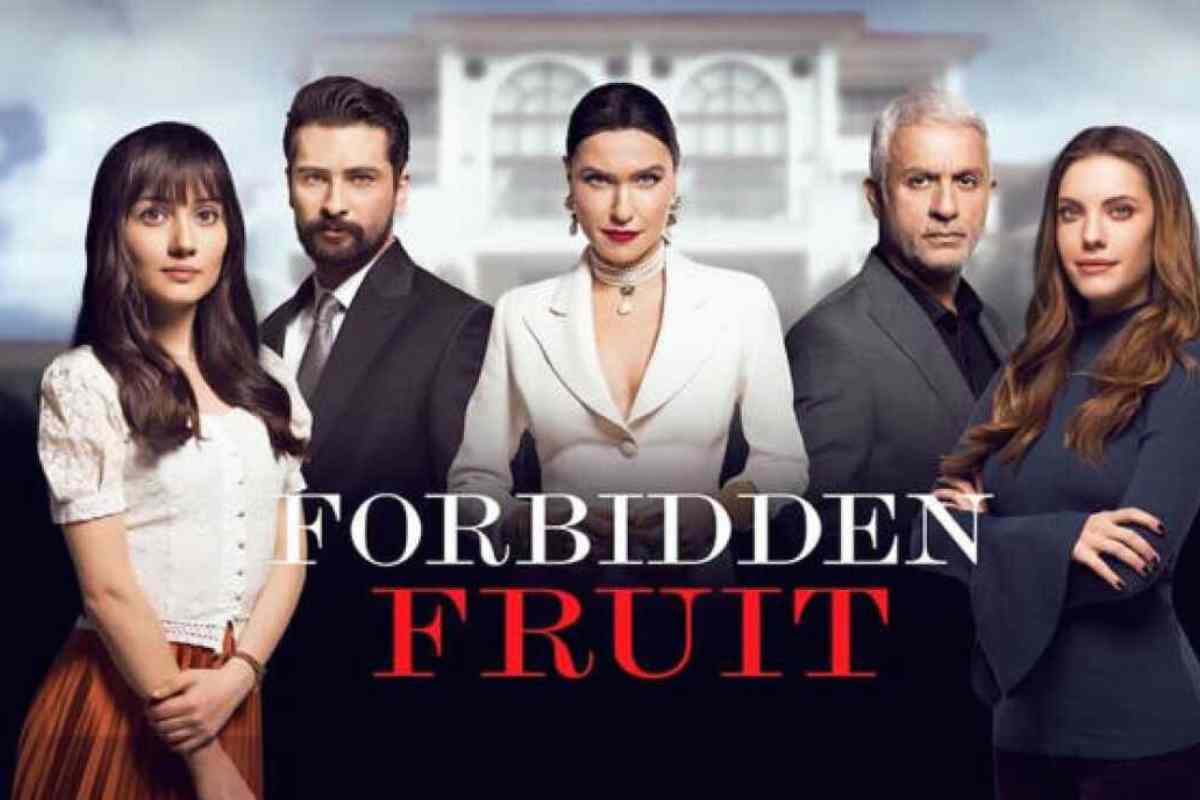 Forbidden Fruit, anticipazioni choc: Halit rapisce Yildiz per riconquistarla, tutti i detagli