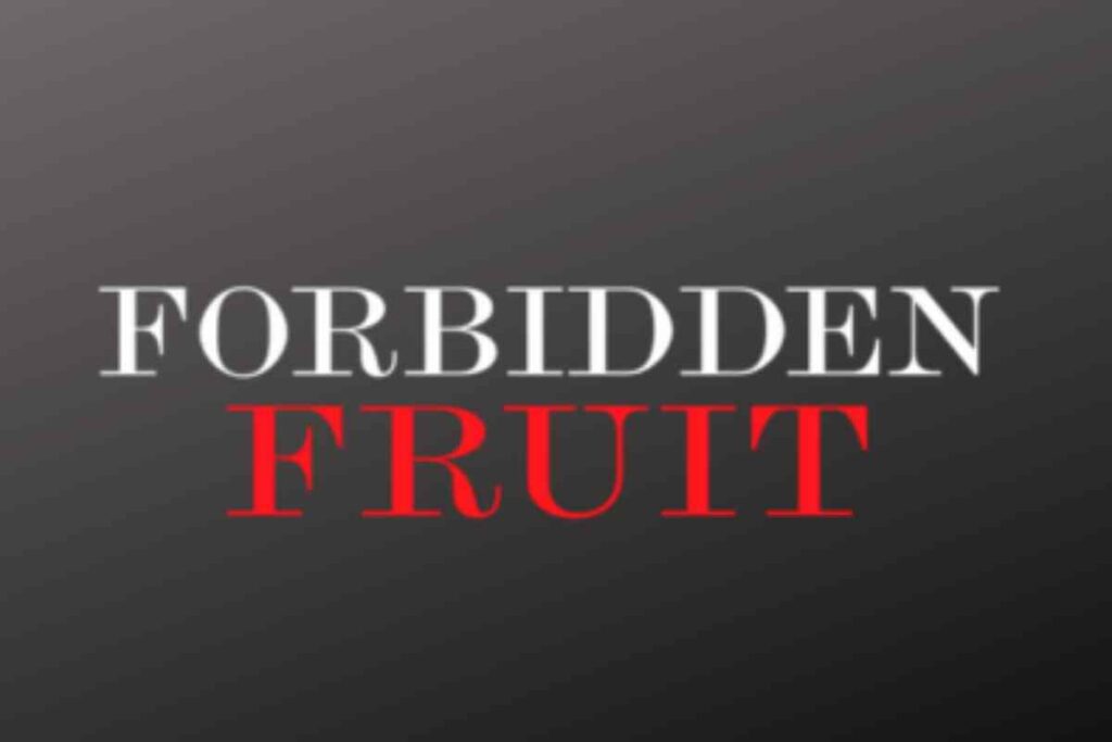Forbidden Fruit, anticipazioni choc: Halit rapisce Yildiz per riconquistarla