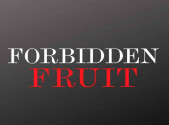 Forbidden Fruit, anticipazioni choc: Halit rapisce Yildiz per riconquistarla