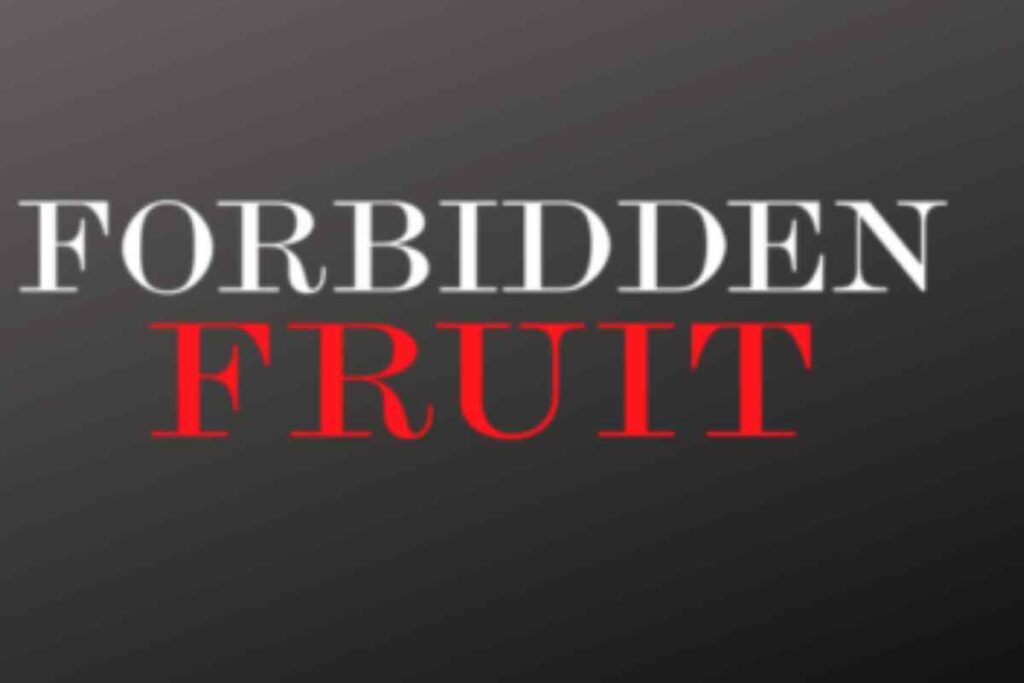 Anticipazioni turche Forbidden Fruit: guerra tra Yildiz e Halit, tutti i dettagli