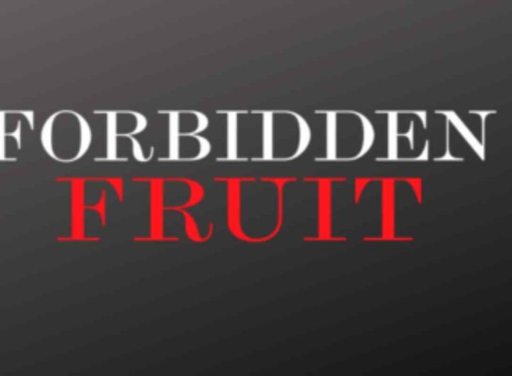 Anticipazioni turche Forbidden Fruit: guerra tra Yildiz e Halit, tutti i dettagli