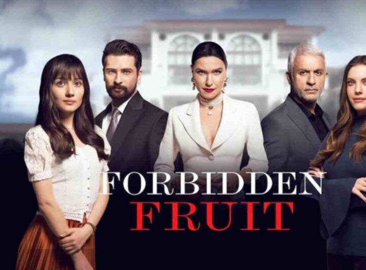 Dramma a Forbidden Fruit: Zeynep si licenzia, Ender e Sinan preparano una fuga