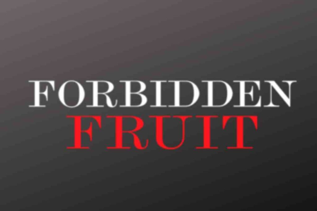 Dramma a Forbidden Fruit: Zeynep si licenzia, Ender e Sinan preparano una fuga, tutti i dettagli