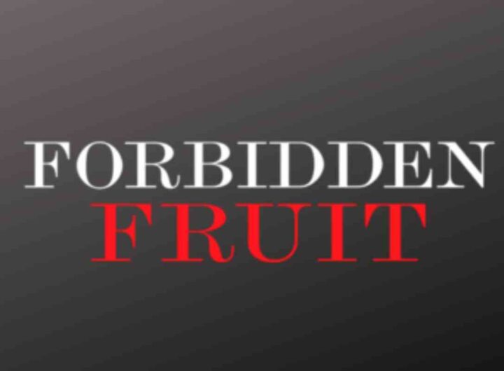 Dramma a Forbidden Fruit: Zeynep si licenzia, Ender e Sinan preparano una fuga, tutti i dettagli