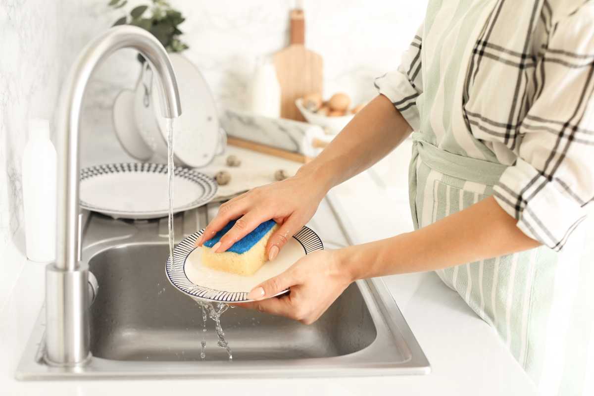 Lavare i piatti con il sapone Alga: idea geniale o disastro in cucina?